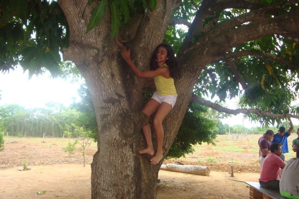 Young Lara climbing a tree in Brazil